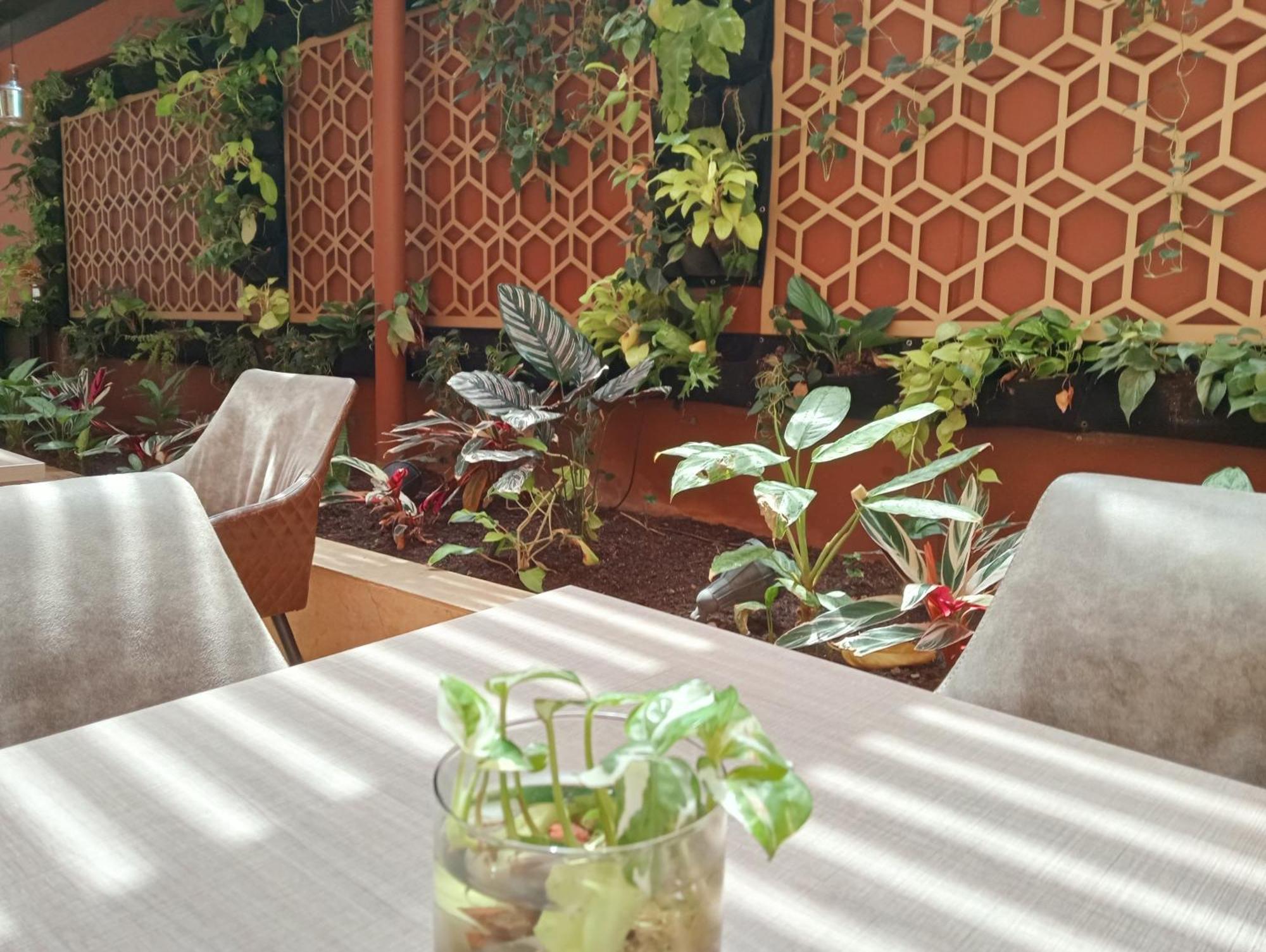 Hotel Lomas 10 Medellin By Dico Exterior photo